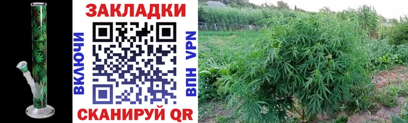 Купить наркотики Старая Купавна ГАШ  Марихуана  KRAKEN tor  Меф мяу мяу  КОКАИН  Героин 