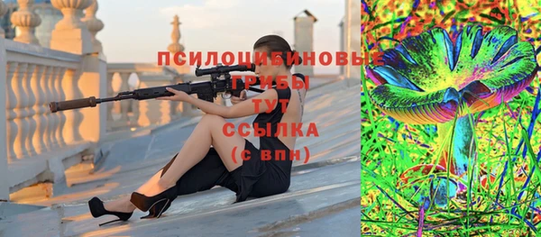 a pvp Абинск
