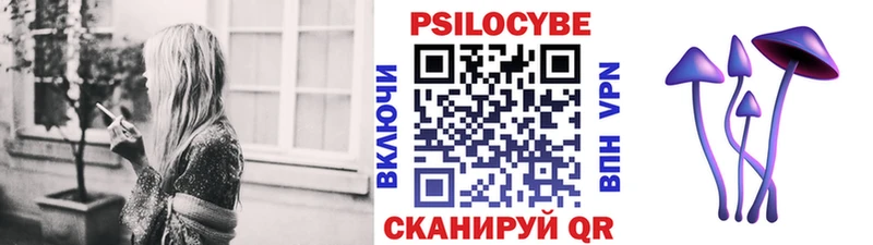 KRAKEN как войти Старая Купавна Галлюциногенные грибы Cubensis